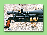 gun